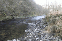 43. Flowing Past Great Birchcleeve Wood