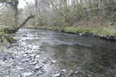 44. Flowing Past Great Birchcleeve Wood