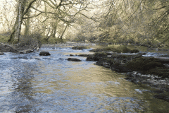 49. Flowing past Slade Wood