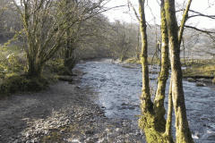 5. Little River confluence with River Barle