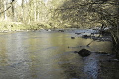 50. Flowing past Slade Wood