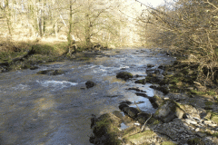 52. Flowing past Horse Wood