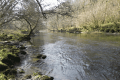 53. Flowing past Horse Wood