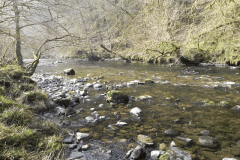 55. Flowing past Horse Wood