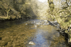 56. Flowing past Horse Wood