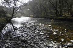 58. Flowing past Horse Wood