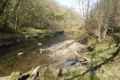 60. Flowing past Mill Ham Wood