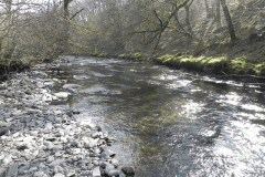 61. Flowing past Mill Ham Wood