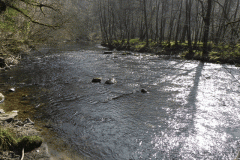 64. Flowing past Mill Ham Wood