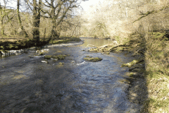 66. Flowing past Dibble Wood