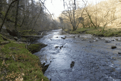 68. Flowing past Dibble Wood