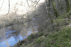 69. Flowing past Dibble Wood