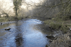 70. Flowing past Dibble Wood