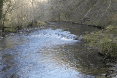 71. Flowing past Dibble Wood