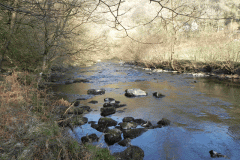 8. Flowing past Ashway Hat Wood