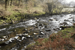 9. Flowing past Ashway Hat Wood
