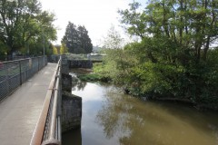Taunton Mill Leat