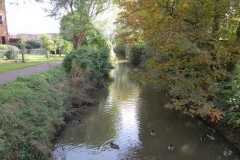 12.-Looking-downstream-from-Mill-Stream-ROW-Bridge-5298