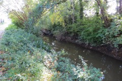 13.-Downstream-from-Steps-Water-join