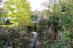 22.-Galmington-Stream-joins-the-Mill-Stream