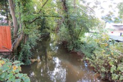34.-Looking-upstream-from-Mill-Stream-Castle-footbridge