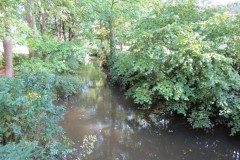 37.-Looking-downstream-from-Mill-Stream-Castle-footbridge