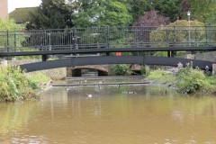 45.Goodlands-Garden-footbridge-downstream-face