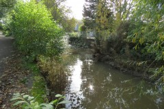 7.-Downstream-from-French-Weir