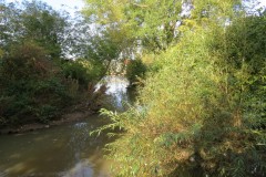 8.-Downstream-from-French-Weir