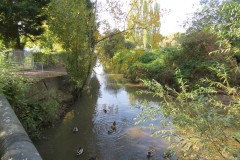 8.-Looking-upstream-to-Steps-Water-from-ROW-Bridge-5298