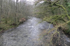 1. Looking upstream from Thorner's Bridge