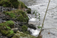 10. Tributary stream joins near Hinam Farm