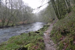 11. Near Ashwick Wood
