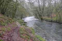 12. Near Ashwick Wood