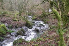 13. Tributary Stream near Mounsey Castle