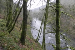 15. Near Draydon Wood