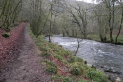 16. Near Shircombe Slade