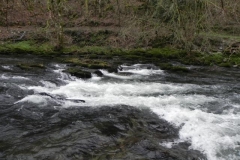 17. Near Shircombe Slade