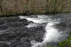 18. Near Shircombe Slade