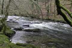19. Near Shircombe Slade