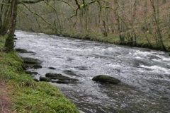 20. Near Shircombe Slade