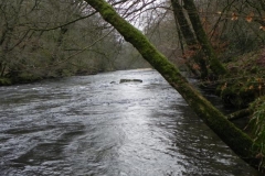 21. Near Invention Wood