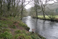22. Near Invention Wood