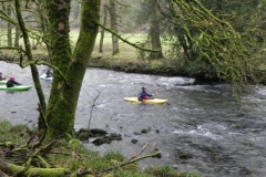 23. Anoists upstream from Marsh Bridge