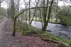 24. Upstream from Marsh Bridge