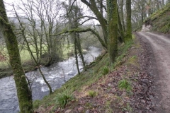 25. Upstream from Marsh Bridge