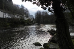 36. Looking downstream to upper town mill leat.