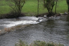 37. Upper town mill weir