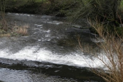 38. Upper town mill weir