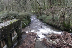5. Outlet to River Barle